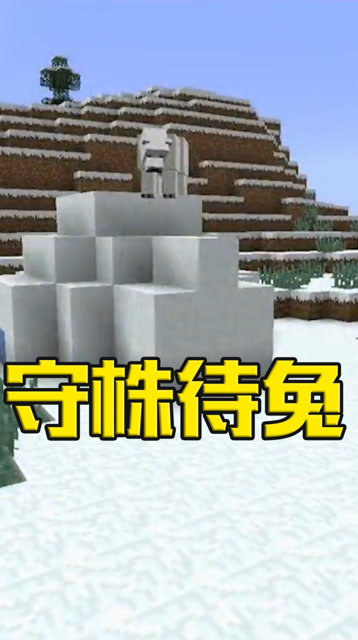 智商250的北极熊！直接把萌新耍了个团团转免费观看