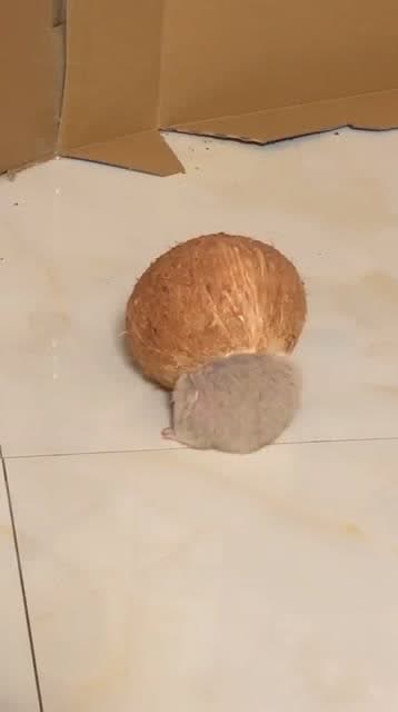我…我好像卡住了…