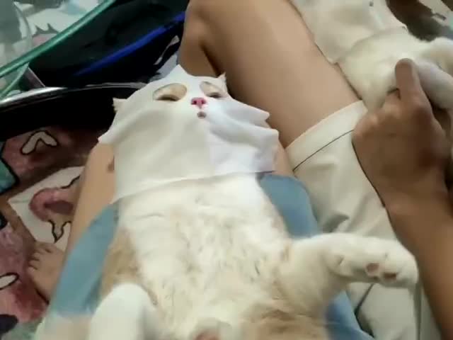 嚯 這小日子過得比我都精緻