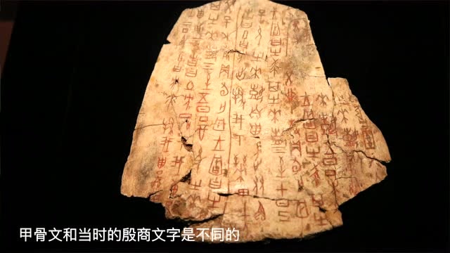 博物館時光丨日、月、山、水…聽國博田老師講甲骨文上的那些字兒