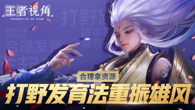 《王者视角》第二期 合理拿资源 打野发育法重振雄风免费观看