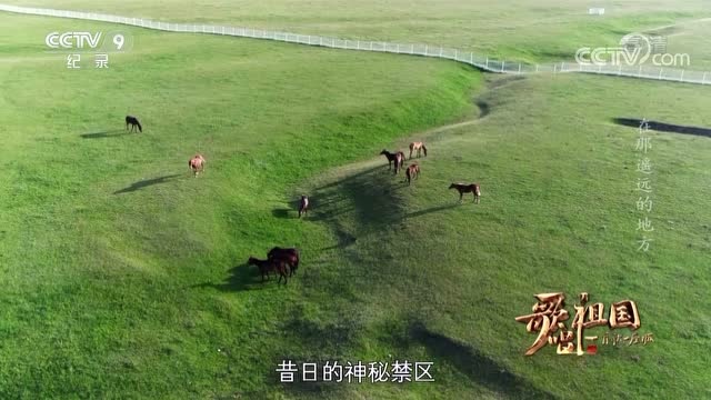 【歌唱祖國·一首歌一座城】青海海北州 《在那遙遠的地方》