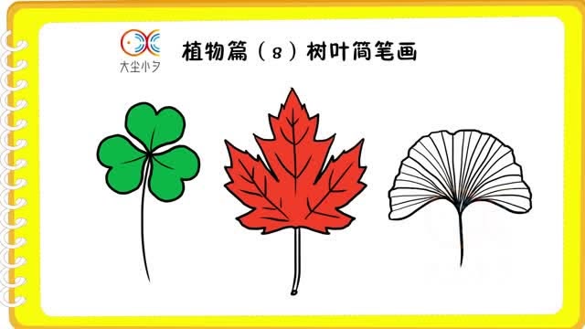 植物篇(8)树叶简笔画教程