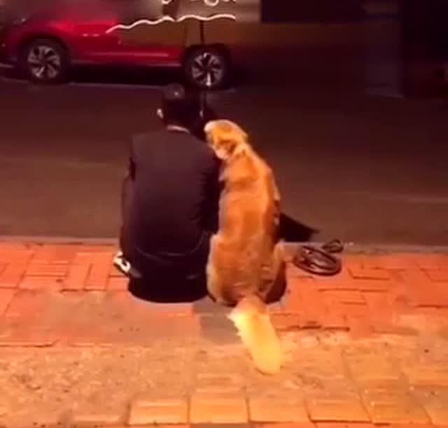 一人一狗幸福的背影