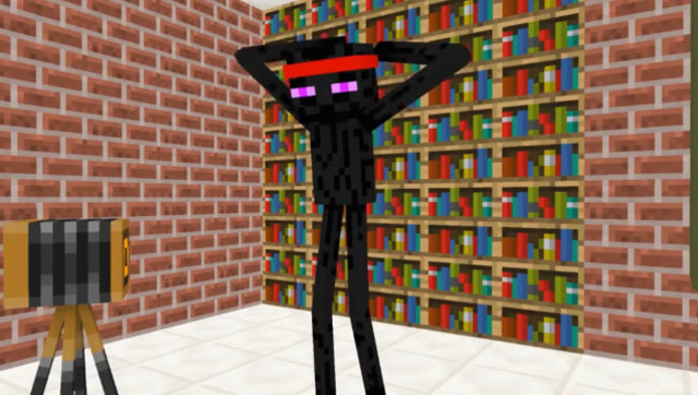 我的世界动画 史蒂夫拍照功夫末影人免费观看