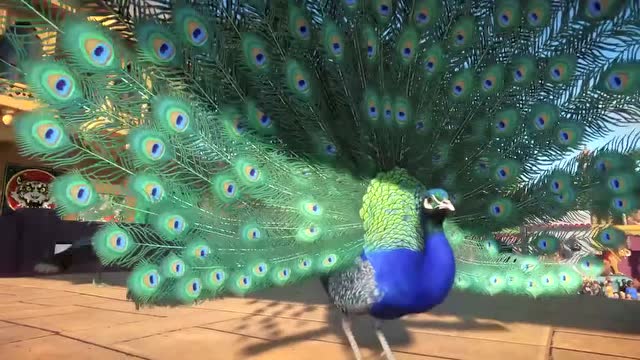 Steam新作 《動物園之星》(Planet Zoo)發售時間