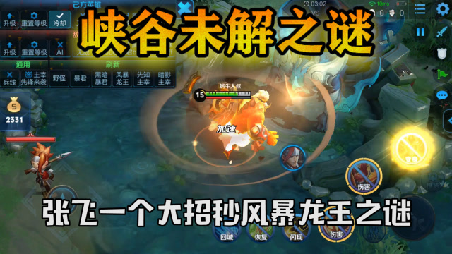 王者荣耀：张飞一个大招秒风暴龙王！纯攻击张飞这么强？免费观看