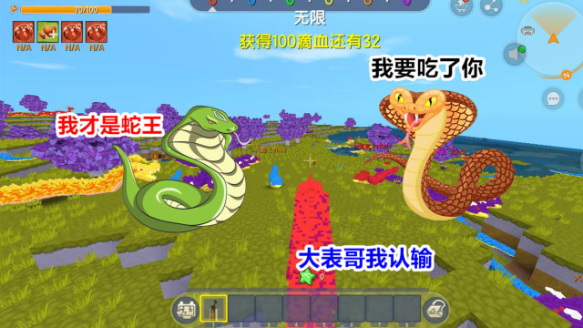 迷你世界：蛇王大乱斗，小表弟要和我决战，看我变身蛇王消灭他免费观看