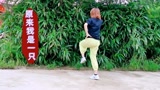 《酒醉的蝴蝶》在那一片绿竹前