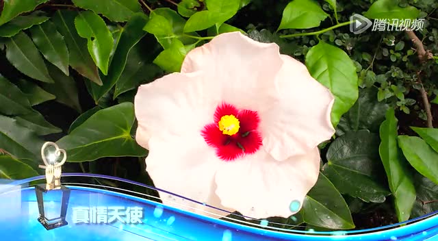 浦东经济人物傅文君