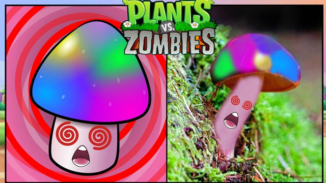 现实生活中的植物与僵尸，游戏VS现实，精彩视频免费观看