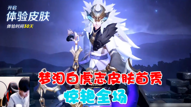 梦泪玄策神兽皮肤白虎志实战初体验，炸裂的炫光特效让你睁不开眼免费观看