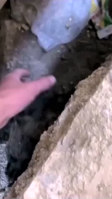 知道爲什麼掉坑裏了