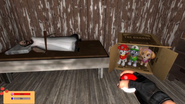 Granny：小黑用精灵球抓汪汪队会被奶奶发现吗？免费观看