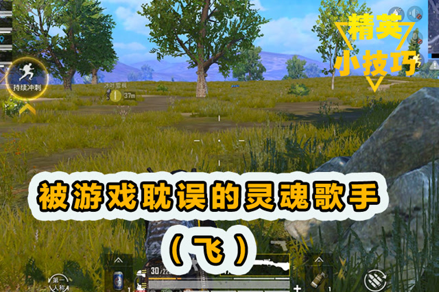 精英小技巧：被游戏耽误的灵魂歌手[飞]！免费观看