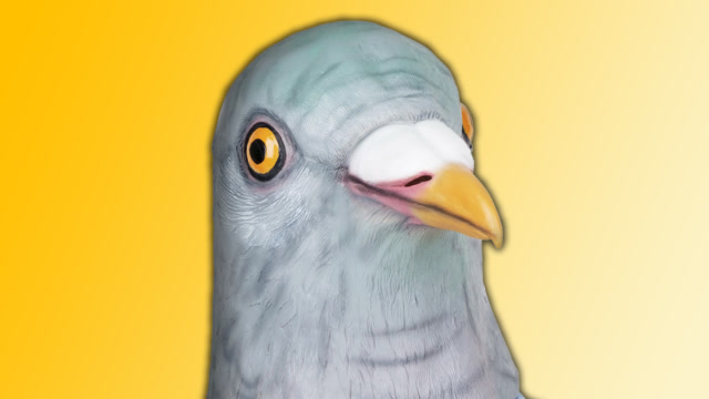 鸽子模拟器，我拥有了超能力，差点毁掉了城市！鲤鱼Ace解说免费观看