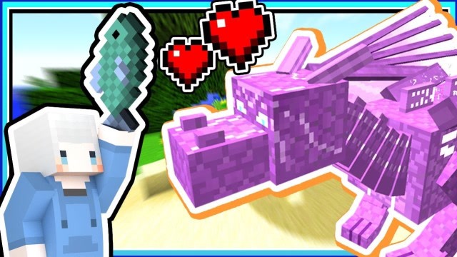 小白解说我的世界巨龙与魔兽06 开始尝试养龙 还是只爱吃鱼的龙免费观看