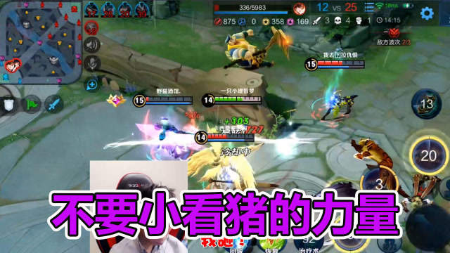 梦泪猪八戒扮猪吃老虎现出原形，以为谁都打得过结果谁都打不过免费观看