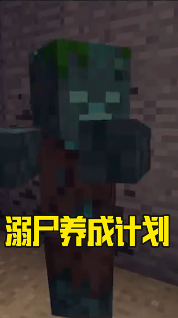 我的世界：别把僵尸引下水！尸变就在片刻之间免费观看