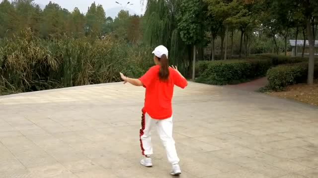 曳步舞谁的教程完整版-鬼步舞教学基础舞步