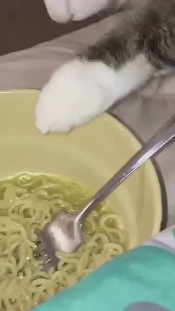 有點得寸進尺了