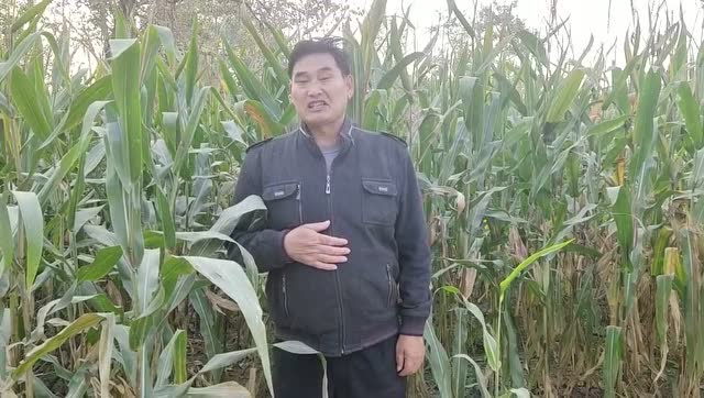 #朱之文#騰訊新聞的網友大家好,我是大衣哥朱之文,很高興認識大家。