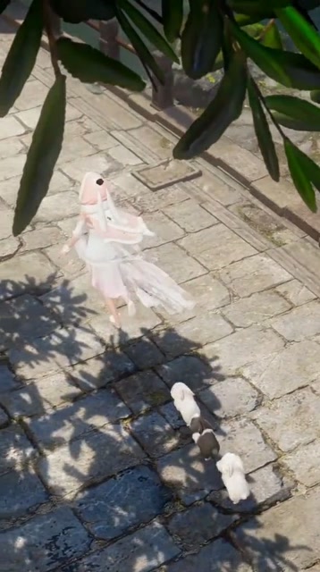 你们不要跟着我了免费观看