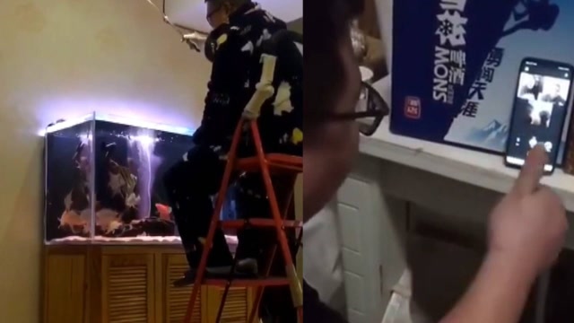 留守各地市民在家花樣過新春!武漢一市民爆料自娛自樂活動,搞笑又心酸