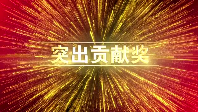 象屿集团2016年度表彰大会——突出贡献奖