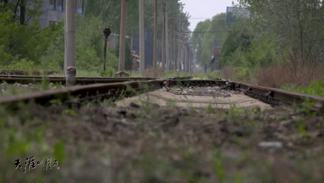 天刀三周年 玩家纪录片第一期预告30s版免费观看