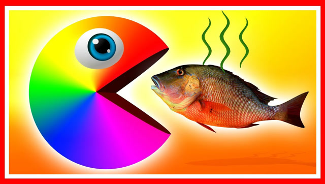 吃豆人大作战：会变色的彩虹吃豆人吃小鱼，动画短片免费观看