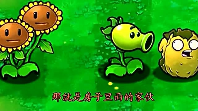《植物大战僵尸》植物坚果被僵尸咬了，没想到豌豆射手太棒了免费观看