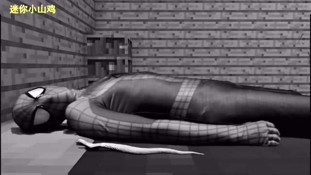 真人我的世界：怂蜘蛛侠不救女朋友，跑回家继续睡觉，报应被蛇毒死免费观看