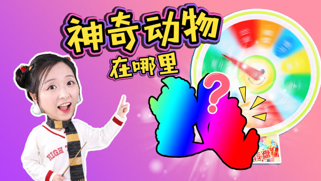 小渝精选视频