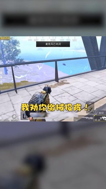 小老弟我不要面子的吗？免费观看