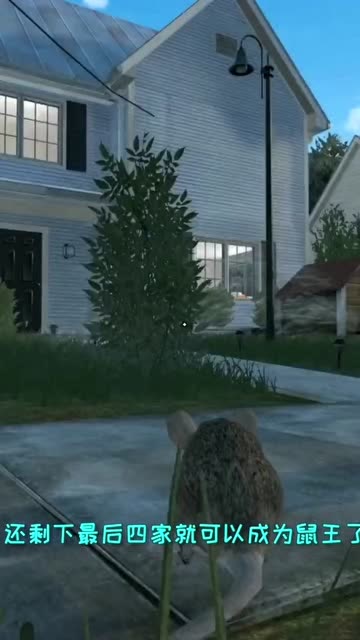 还剩四家，我就能成为鼠王了免费观看