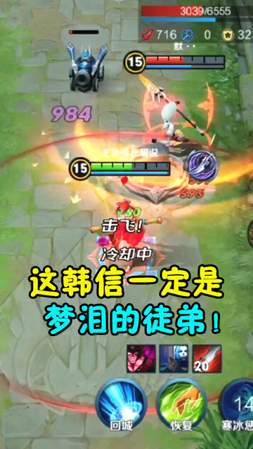 王者荣耀：这韩信一定是梦泪的徒弟！花里胡哨的！免费观看