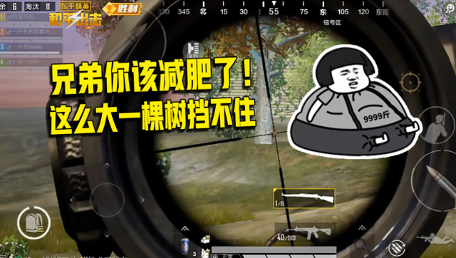 和平精英：兄弟你该减肥了，决赛圈一颗大树，藏不住你的腰！免费观看