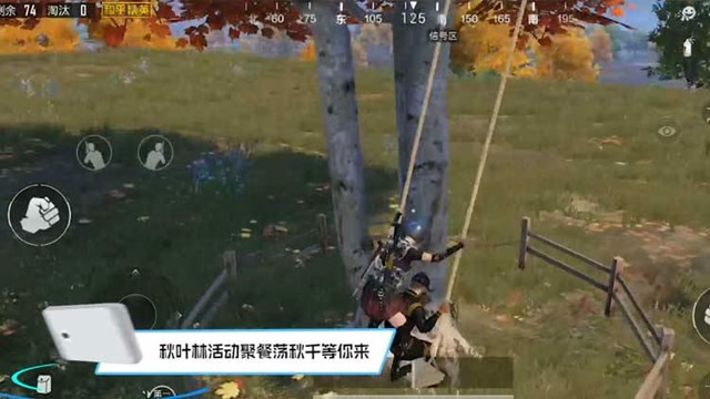 精英坐标点：别人娱乐我偷人，枫叶林野餐点作战卡点免费观看