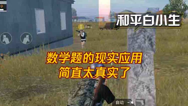 和平白小生：数学题的现实应用，简直太真实了免费观看