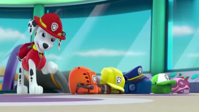 汪汪队立大功：毛毛说了作战前要记得带上安全帽哦，好棒啊免费观看