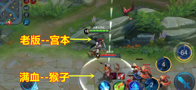 还记得当年老版宫本吗？像这样的满血猴子，宫本一个大招就带走了！免费观看