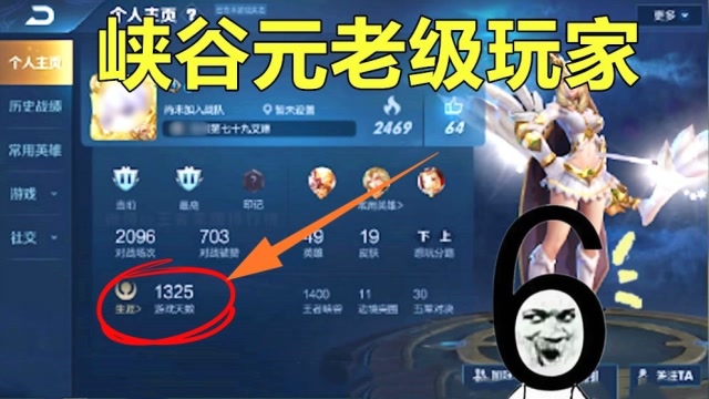 王者荣耀：最老的远古大神玩家你见过吗？骨灰级大佬竟有1325天！免费观看