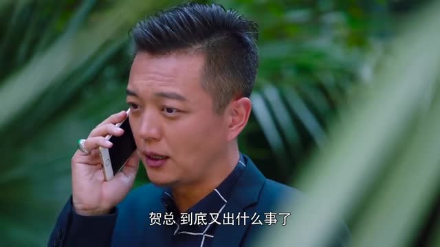 贺总看了徐浩宁的创意!觉得十分满意!