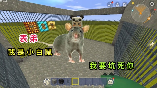 迷你世界：大表哥变成小白鼠，让我来欺负他，没想到是个陷阱免费观看