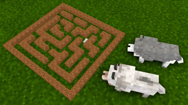 在教育孩子方面父母产生分歧，母亲用实际行动证明，实战才是最好的训练免费观看