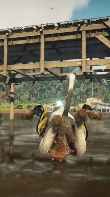 牛真的飞上天了免费观看