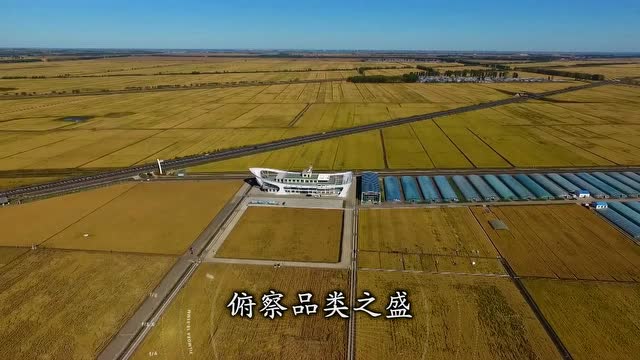 W、W、W(網落·印記)