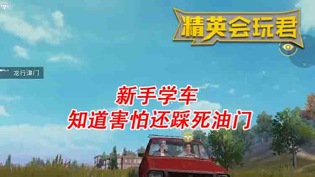 精英会玩君：新手学车 知道害怕还踩死油免费观看