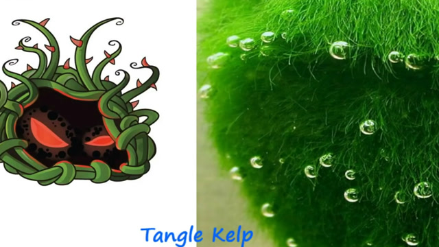 植物大战僵尸：植物在生活中的原型 看到水果口水都流出来了免费观看